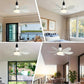 🏆 Last Day Special Price £15.99!!🔥SmartBreez™ 40W LED Ceiling Fan Light – 20.5” Ultra-Quiet with Remote 🎯 | E27 + FREE B22 Adapter 🔌 | For Bedroom 😴, Kitchen 👩‍🍳 & Garage 🛠️ – UK Ready! 🇬🇧