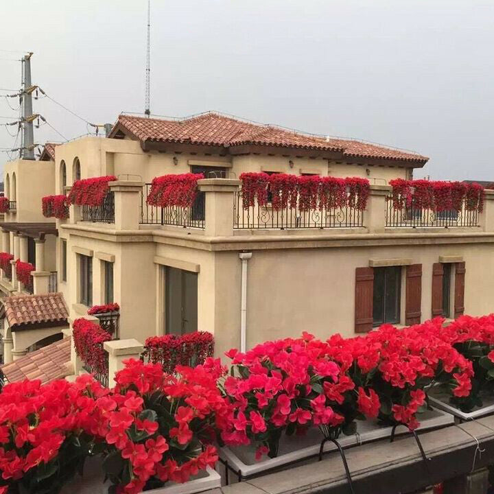 Buy 2 Get 1 Free🔥Vivid Beautiful Hanging Orchid Bunch-3