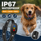 🥳2026 HOT SALE🥳💞50K+ SOLD!🍃🐾 50% OFF!Anti Bark Collar – Smart anti‑false triggering filters out other barks. IP67 waterproof & USB rechargeable – worry‑free training anywhere! 💦✅ £26.99 Regular price£69.99Sale priceSale