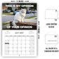 🏆 Last Day Special Price £5.99! 🗓️PISSED-OFF CATS😼💢2027 Wall Calendar - Funny Gift for Cat Lovers