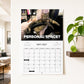 🏆 Last Day Special Price £5.99! 🗓️PISSED-OFF CATS😼💢2027 Wall Calendar - Funny Gift for Cat Lovers