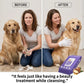 🥳2026 HOT SALE🥳💞50K+ SOLD!🍃 50% OFF!🐾PETS Deodorizing Cat & Dog Grooming Glove Wipes🐾