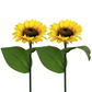 ⏳Time-Limited Special Price: ￡7.99!!⏰ ! Sunflower Solar Lights💐 – Glowing Garden Decor 🌻🌙【Limited Offer】