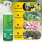 Bud Fertilizers for Succulent Plant-4