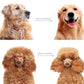 🔥Last Day BUY 1 GET 1 FREE🐾 Professional Deshedding  for Dogs & Cats! 🐶