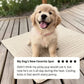 🥳2026 HOT SALE🥳💞50K+ SOLD!🍃 50% OFF!🐾Pet Cooling Mat 🧊Summer Heat Relief for Pet