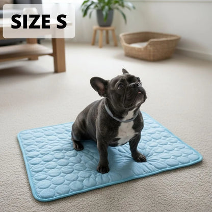 🥳2026 HOT SALE🥳💞50K+ SOLD!🍃 50% OFF!🐾Pet Cooling Mat 🧊Summer Heat Relief for Pet