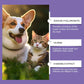 2026 New-🔥Buy 1 get 1 Free!!🔥Gentle Pet Eye Rinse for Dogs & Cats