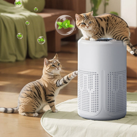 💐50% OFF! 🥳2026 HOT SALE💐Silent Air Purifier – Multi‑layer filtration, ultra‑quiet sleep mode. Covers 30‑50m², one‑touch operation. Breathe clean, rest easy. No more sneezing at night! 🛌✨