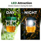 🔥2026 HOT SALE⭐New Arrival☀️Solar-Powered Fruit Fly Trap 🌿