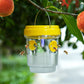 🔥2026 HOT SALE⭐New Arrival☀️Solar-Powered Fruit Fly Trap 🌿
