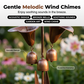 ⭐2026 New Arrival⏰Calla Lily Garden Stake with Bell Chimes🌷🐦