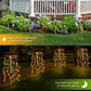 ⏳Limited-time Sale: ONLY ￡8.99!! ✨Solar Firework Garden Lights – Waterproof Starburst Stake Lamps for Paths, Patios & Parties 🌟🌧️✨ (Multi-Colour)