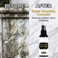 🏆Last Day Promotion 49% OFF🔥Buy 2 Get 1 Free🐦Stone Monument Cleaner & Renovator Spray