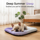 🐶💥LAST DAY SALE 50% OFF!!🐱❄️Cooling Gel Mat for Pets Summer Heat Relief Pad Breathable Non-Toxic Cool Sleeping Mat for Dogs Cats